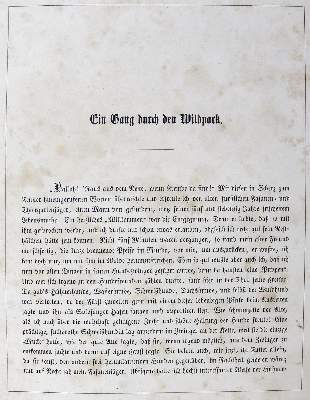 Bild Nr.3: 123-579 Hammer,G.: (Jagd)