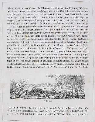 Bild Nr.5: 123-579 Hammer,G.: (Jagd)
