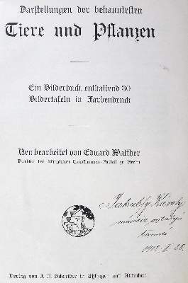 Bild Nr.11: 123-817 Walther,E.: (Kinder- und Jugendbücher)