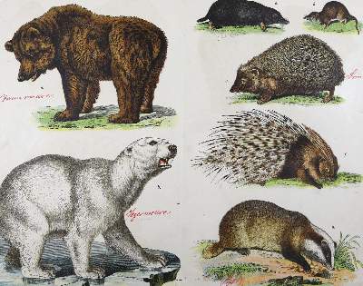 Bild Nr.7: 123-817 Walther,E.: (Kinder- und Jugendbücher)