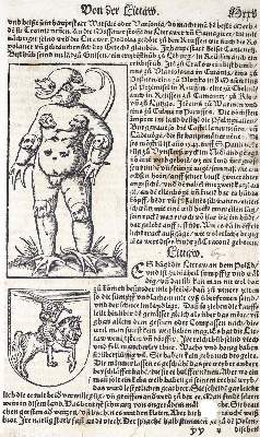 Bild Nr.1: 123-87 Münster,s.: (Buchholzschnitte)