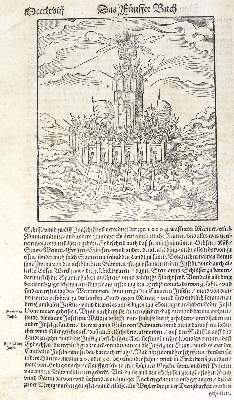Bild Nr.3: 123-87 Münster,s.: (Buchholzschnitte)