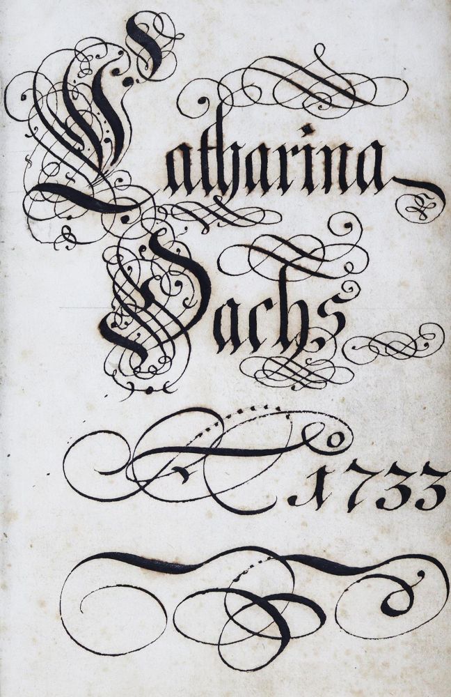 Große Abbildung Nr.3: 124-1112 Pergamenteinband: (Einband)