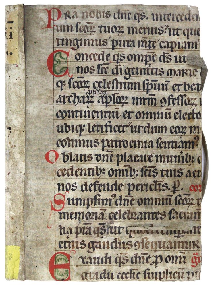 Große Abbildung Nr.2: 124-1113 Pergamenteinband: (Einband)