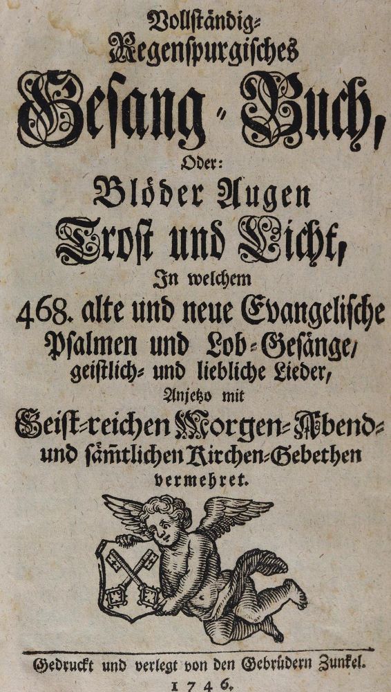Große Abbildung Nr.7: 124-1115 Schwarzer Ledereinband: (Einband)