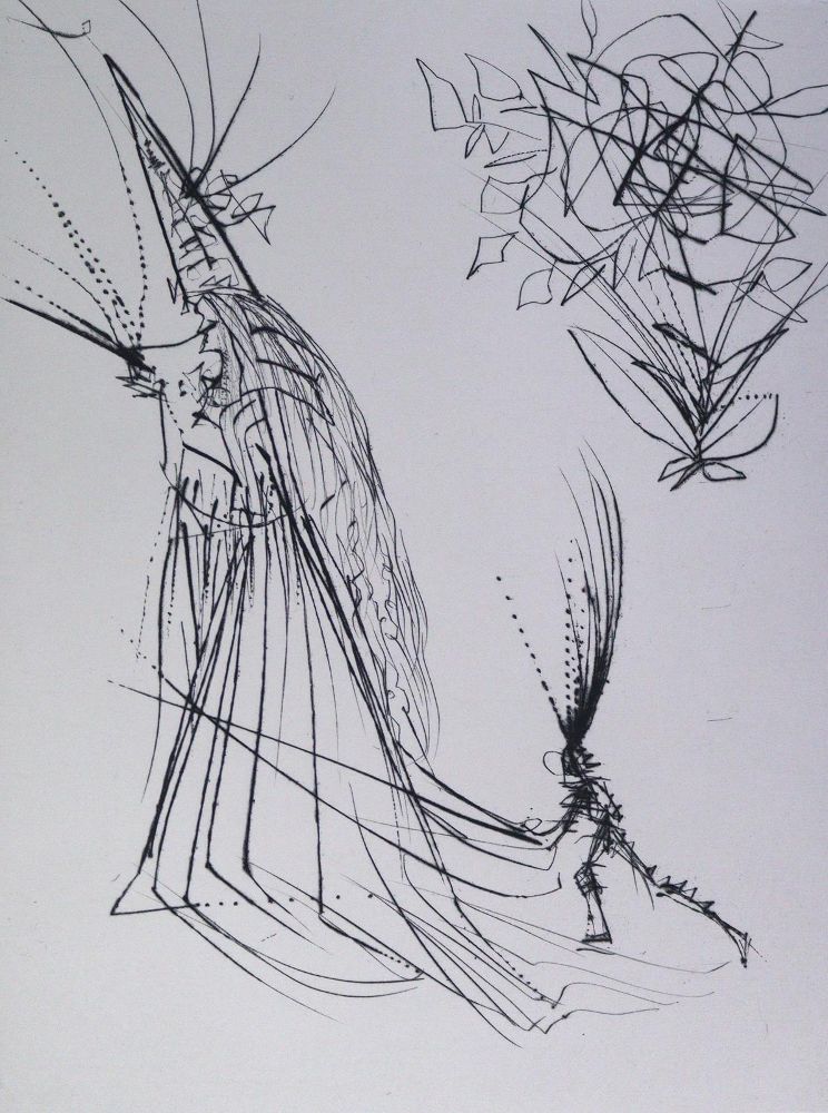 Große Abbildung Nr.7: 124-1269 Goethe,J.W.v.: (Dali)