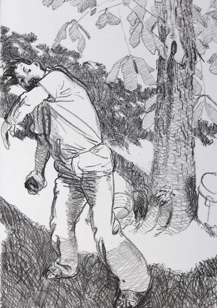Große Abbildung Nr.1: 124-1315 Graphischen Bücher, Die.: (Literatur und illustrierte Bücher 20.Jahrhundert - Alte Literatur in modernen Ausgaben)