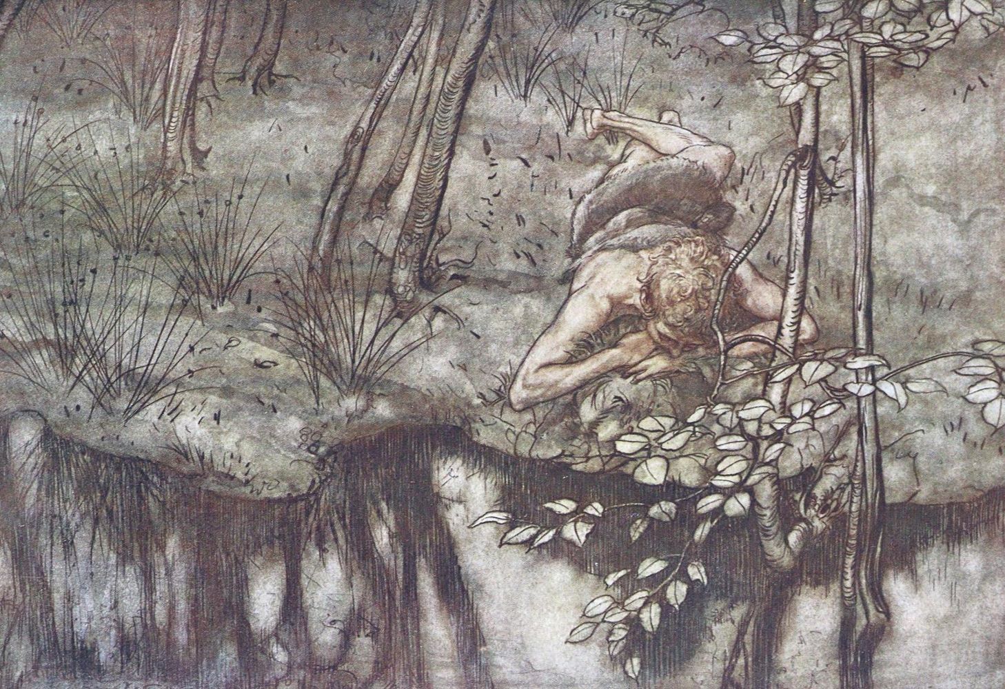Große Abbildung Nr.1: 124-1412 Wagner,R.: (Rackham)