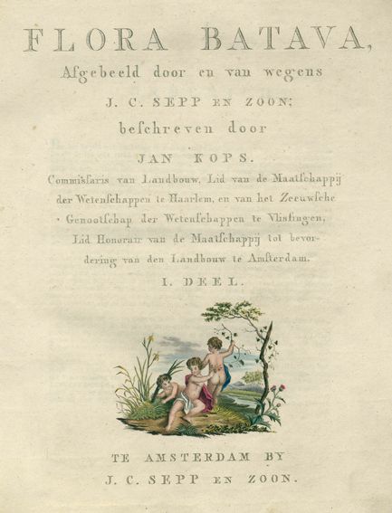 Große Abbildung Nr.1: 124-1451 Kops,J.: (Botanik)