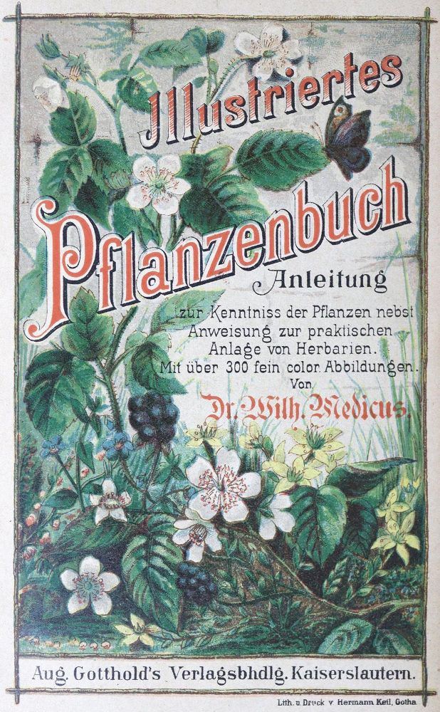Große Abbildung Nr.11: 124-1455 Medicus,W.: (Botanik)