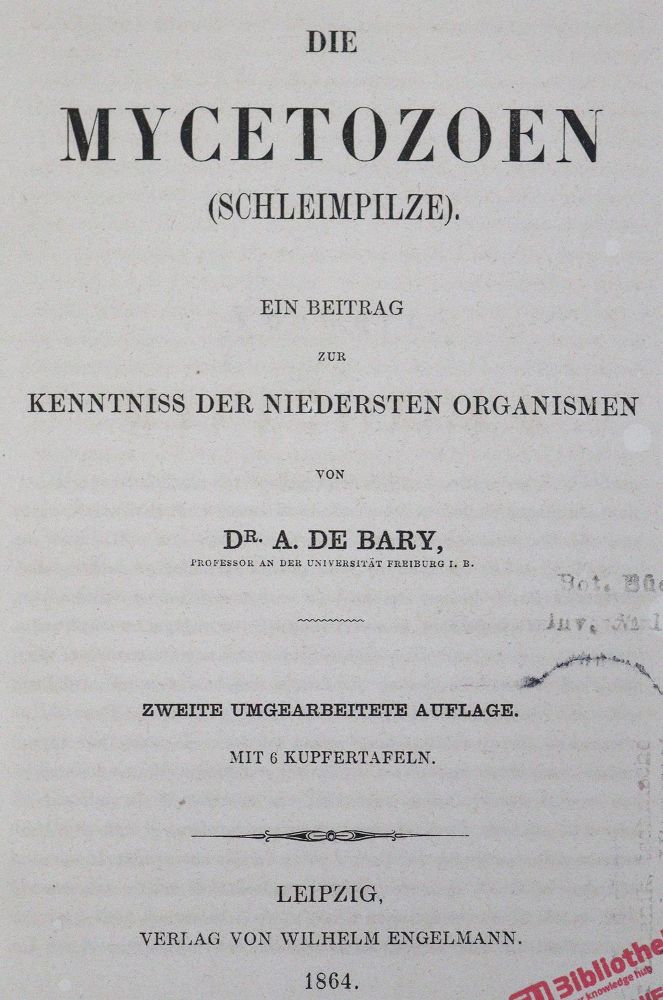 Große Abbildung Nr.1: 124-1458 Bary,A.H.de.: (Botanik, Pilze)