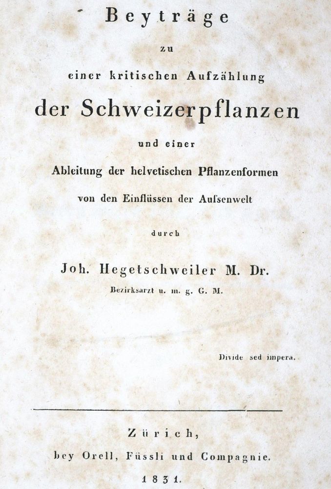 Große Abbildung Nr.1: 124-1462 Hegetschweiler,J.: (Botanik, Schweiz)