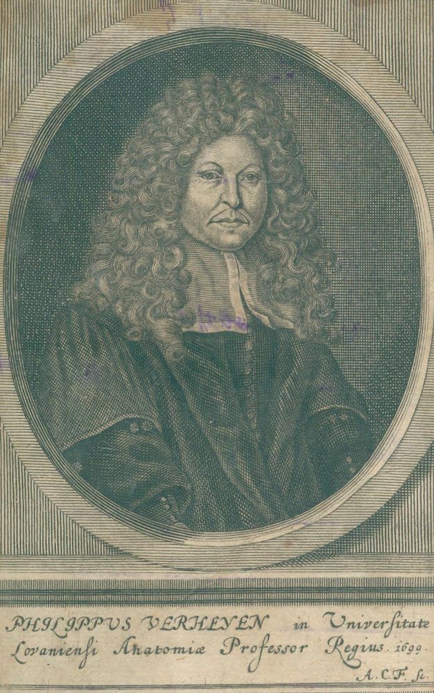 Große Abbildung Nr.11: 124-1467 Verheyen,P.: (Medizin, Anatomie)