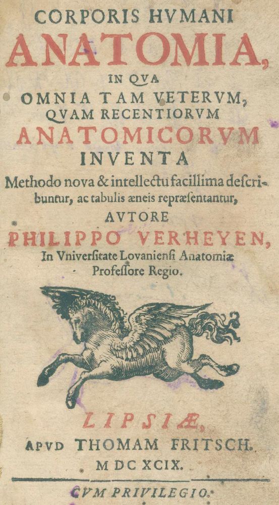 Große Abbildung Nr.12: 124-1467 Verheyen,P.: (Medizin, Anatomie)