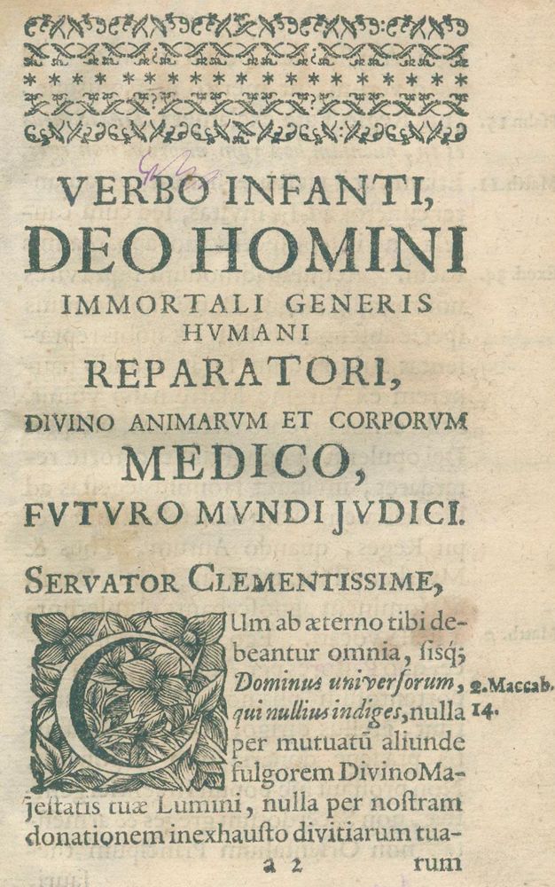 Große Abbildung Nr.13: 124-1467 Verheyen,P.: (Medizin, Anatomie)