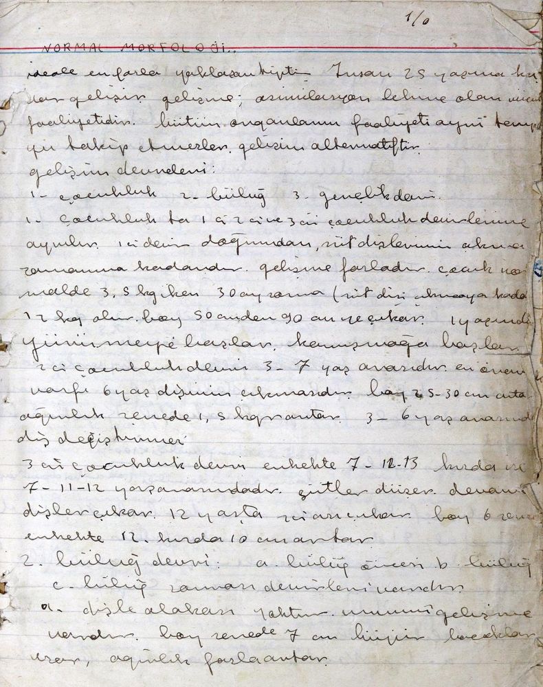 Große Abbildung Nr.1: 124-1509 Ortodonti Notlari: (Medizin, Zahnheilkunde, Handschriften)