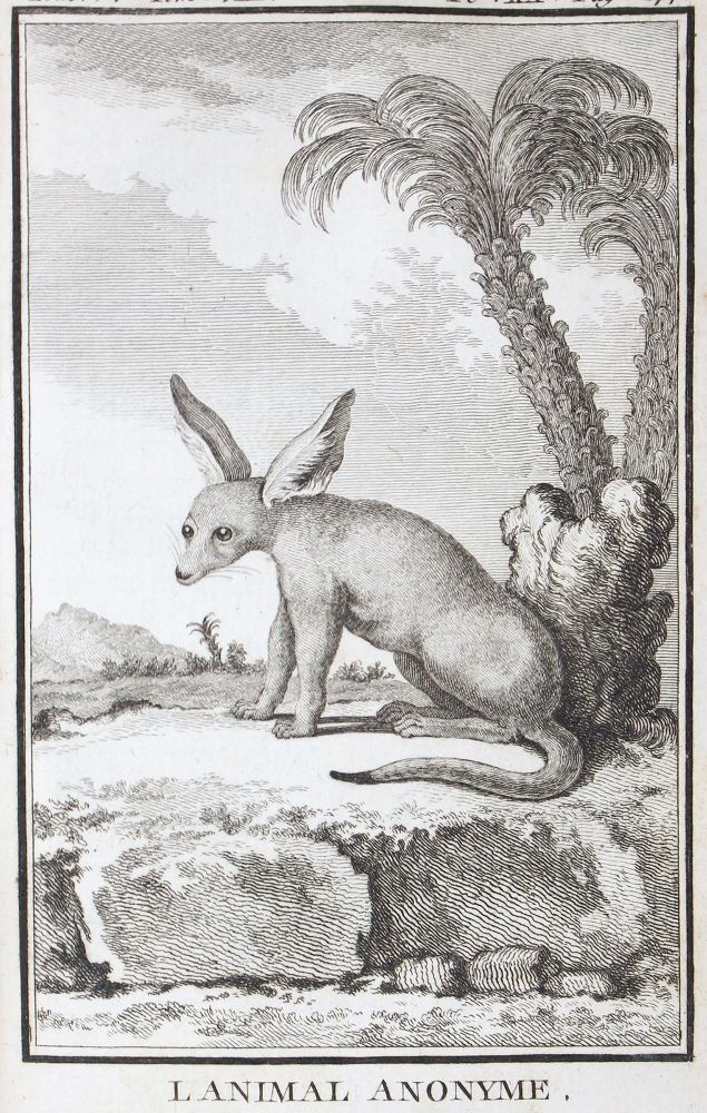 Große Abbildung Nr.2: 124-1512 Buffon,G.L.L.: (Zoologie)