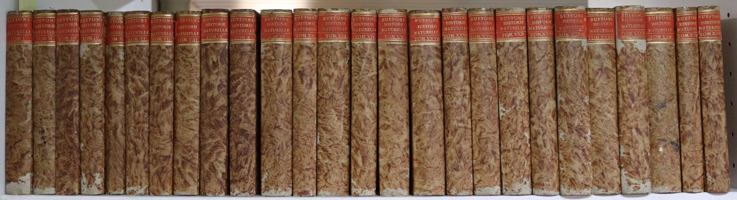 Große Abbildung Nr.2: 124-1514 Buffon,G.L.L.de.: (Zoologie)