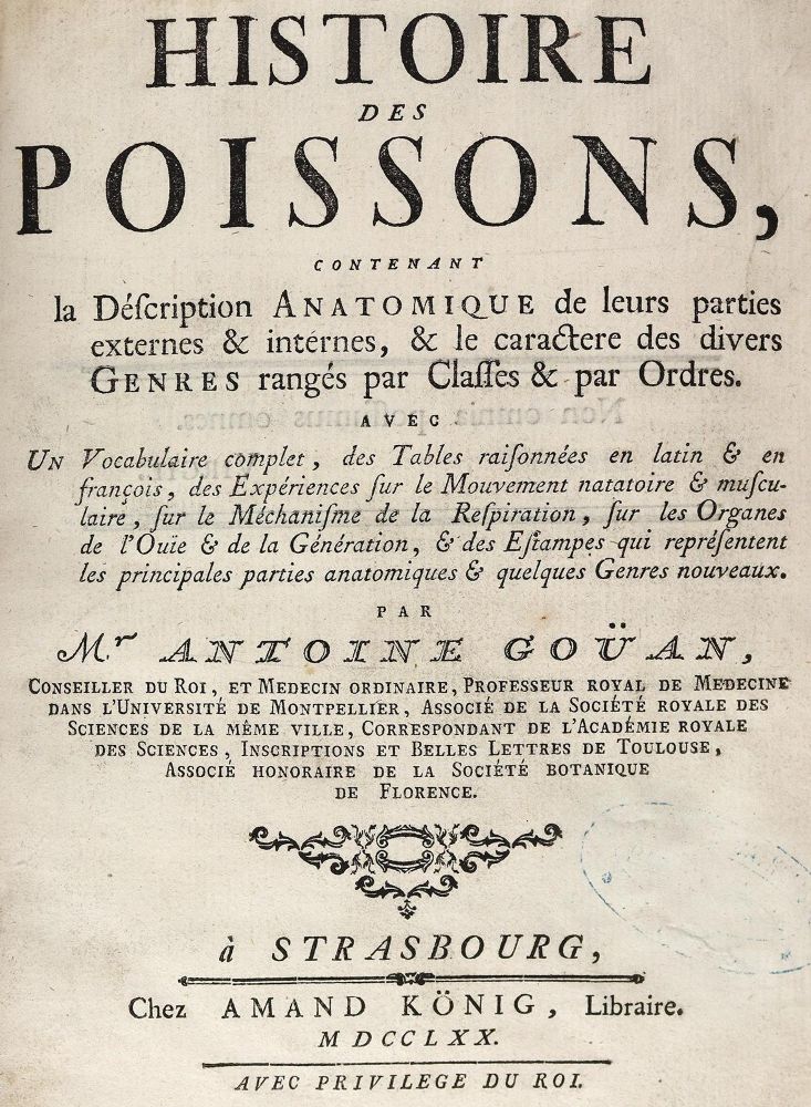 Große Abbildung Nr.1: 124-1516 Gouan,A.: (Zoologie, Fische)