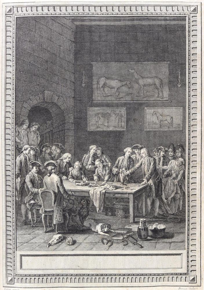 Große Abbildung Nr.4: 124-1519 Lafosse,(P.-E.).: (Zoologie, Pferde)