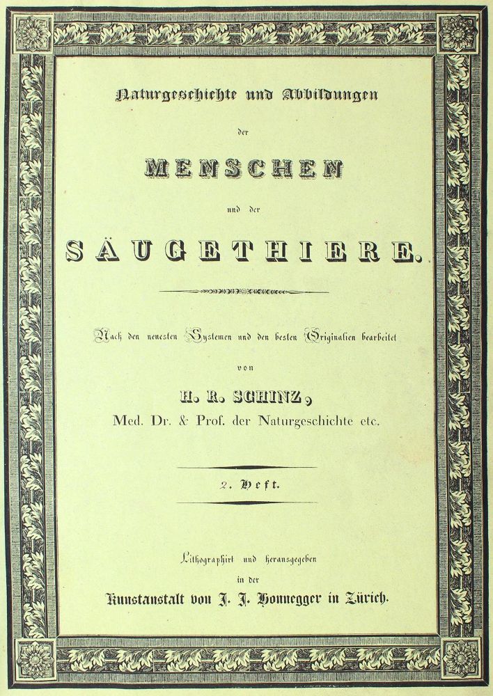 Große Abbildung Nr.1: 124-1521 Schinz,H.R.: (Zoologie)