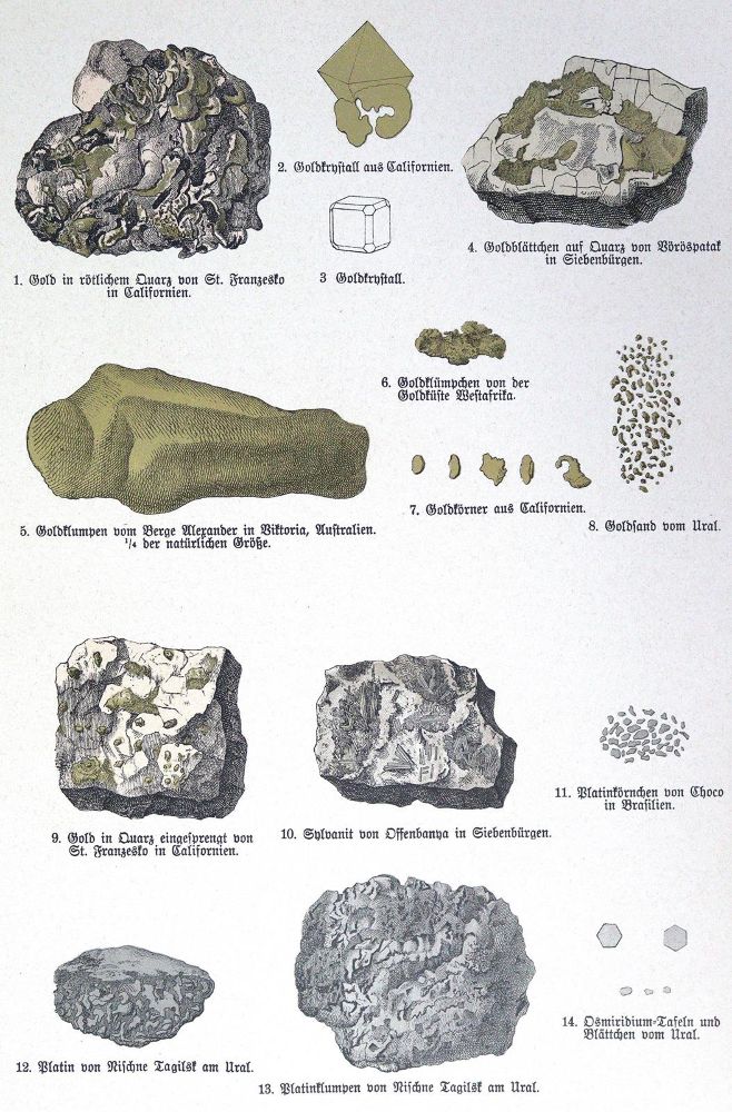 Große Abbildung Nr.3: 124-1524 Schubert,G.H.v.: (Zoologie)