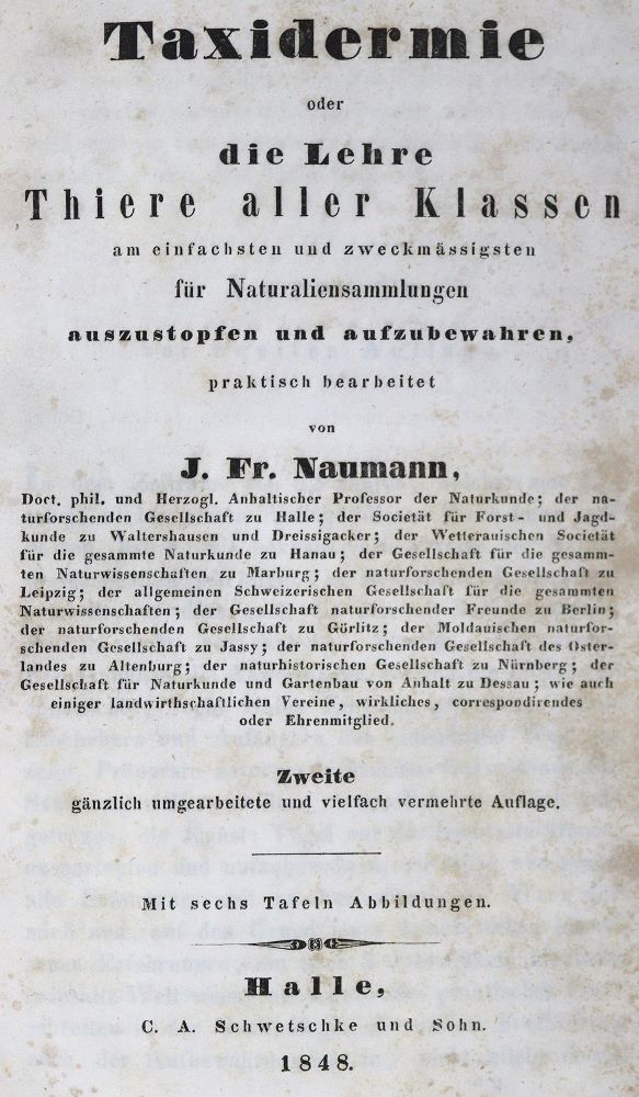 Große Abbildung Nr.1: 124-1531 Naumann,J.F.: (Zoologie, Tierpräparation)