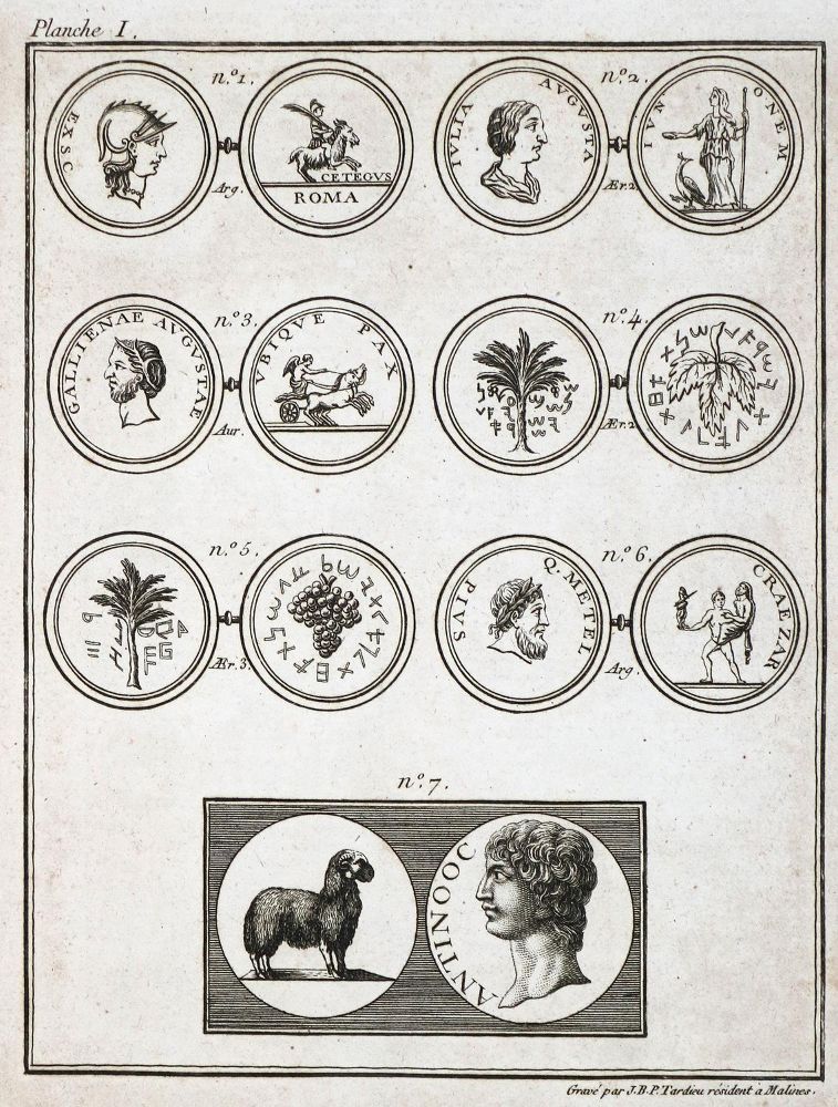Große Abbildung Nr.1: 124-1610 Poinsinet de Sivry (L.): (Afrika, Ägypten)