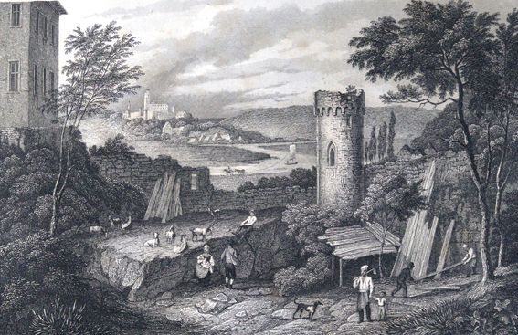 Große Abbildung Nr.1: 124-1729 Schwab,G.: (Deutschland)