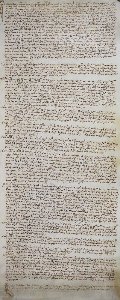 Große Abbildung Nr.2: 124-173 Notariatsinstrumente.: (Handschriften)