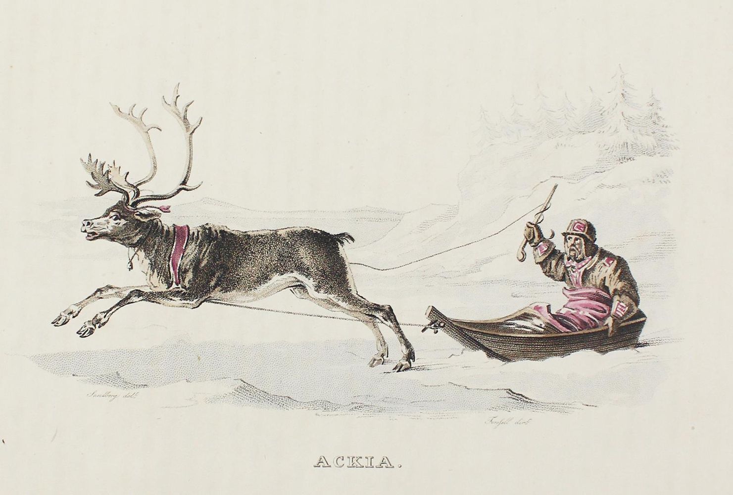 Große Abbildung Nr.2: 124-1833 Forssell,C.D.: (Verschiedene Länder - Geschichte, Arktis-Antarktis-Nordländer)
