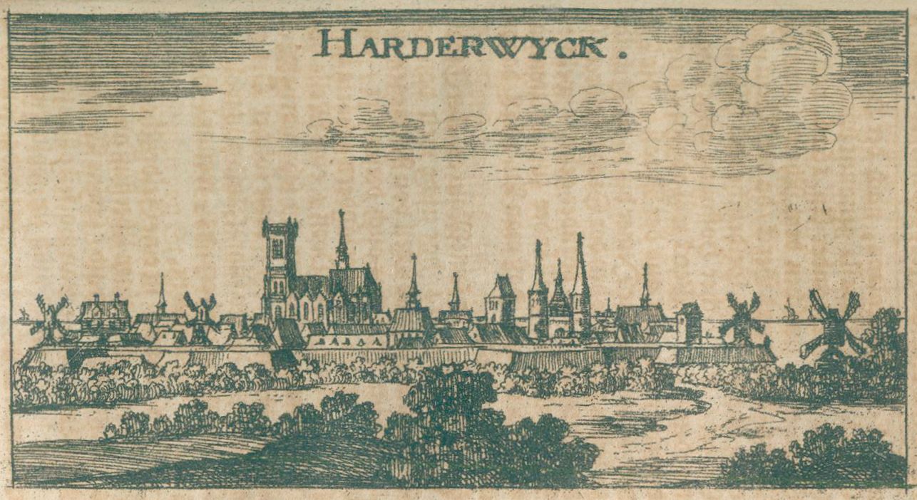Große Abbildung Nr.4: 124-1854 Niederlande.: (Verschiedene Länder - Geschichte, Benelux)