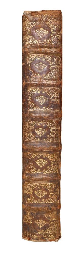 Große Abbildung Nr.5: 124-229 Zeiller,M.: (Merian, Deutschland)