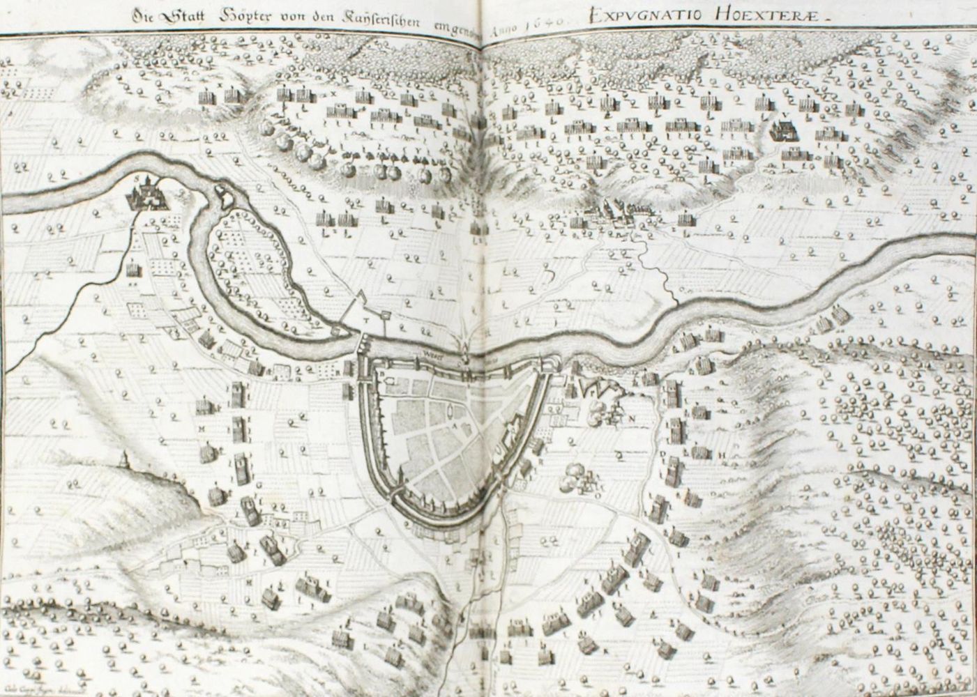 Große Abbildung Nr.5: 124-240 Merian,M.: (Merian, z004)