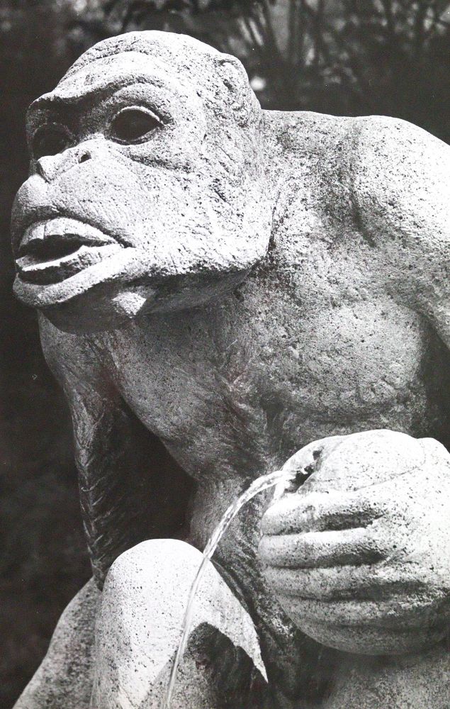 Große Abbildung Nr.1: 124-2407 Konvolut: (Photographie)