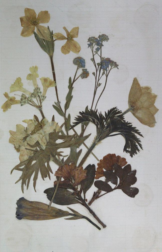 Große Abbildung Nr.1: 124-2416 Photoalbum: (Photographie)