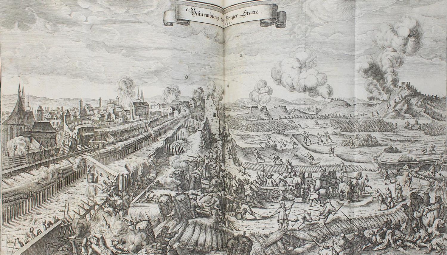 Große Abbildung Nr.5: 124-242 Merian,M.: (Merian, z006)