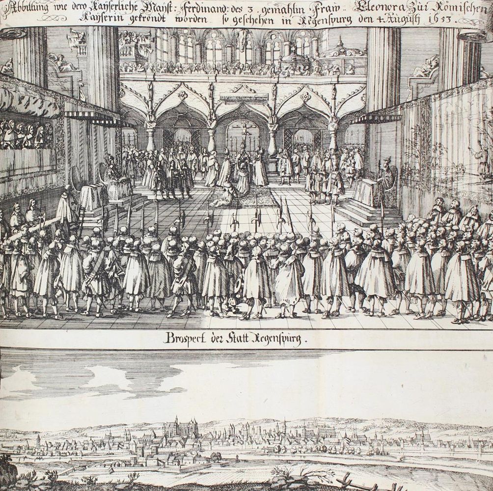 Große Abbildung Nr.5: 124-243 Merian,M.: (Merian, z007)