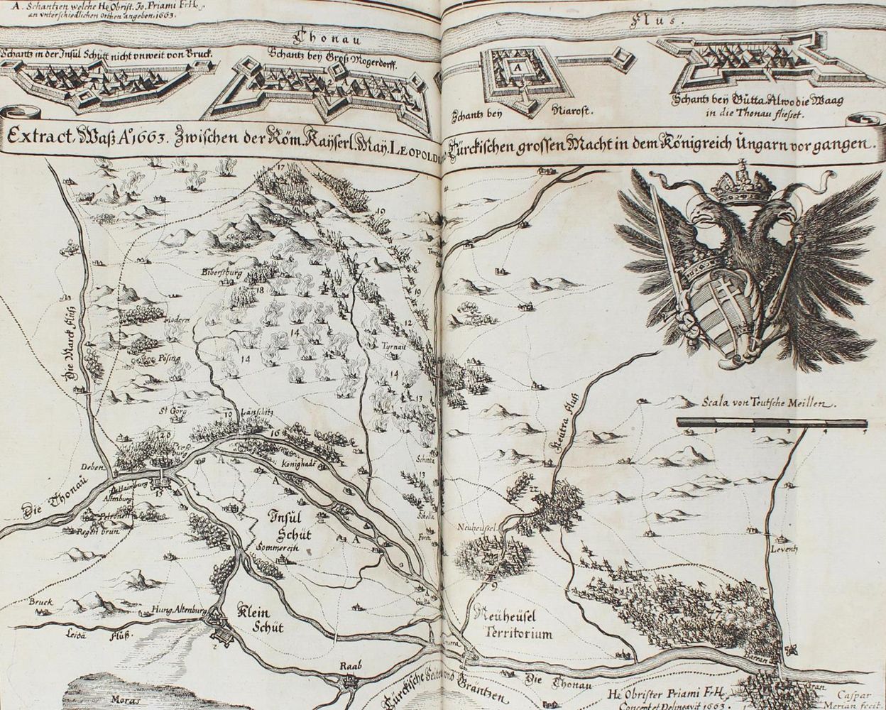 Große Abbildung Nr.5: 124-245 Merian,M.: (Merian, z009)