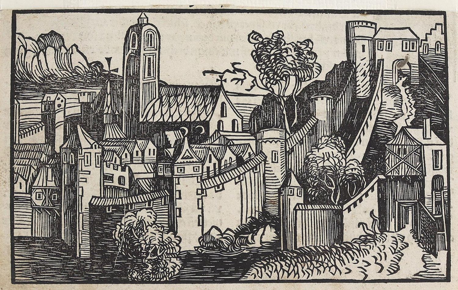Große Abbildung Nr.1: 124-2455 Schedel.: (Varia, Buchholzschnitte)