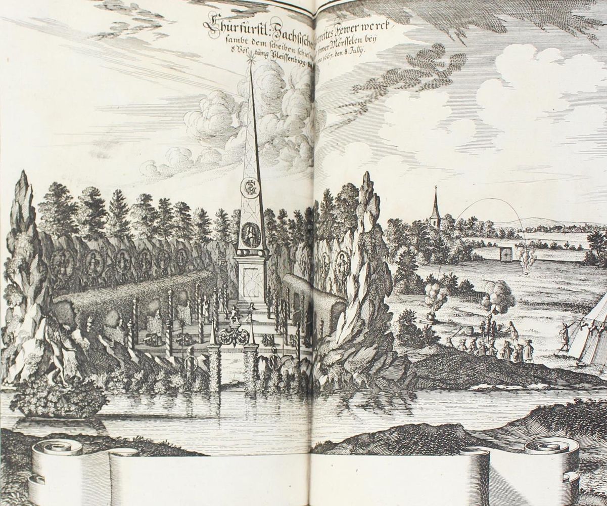 Große Abbildung Nr.5: 124-246 Merian,M.: (Merian, z010)
