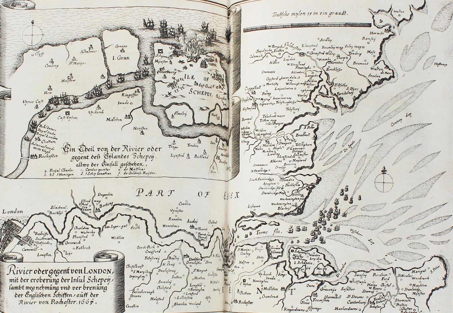 Große Abbildung Nr.6: 124-246 Merian,M.: (Merian, z010)