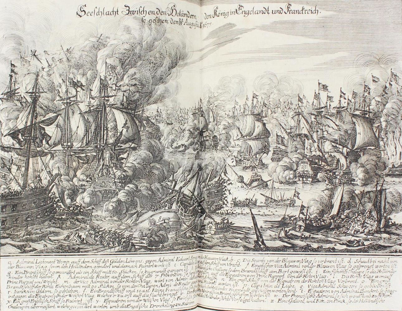 Große Abbildung Nr.6: 124-247 Merian,M.: (Merian, z011)