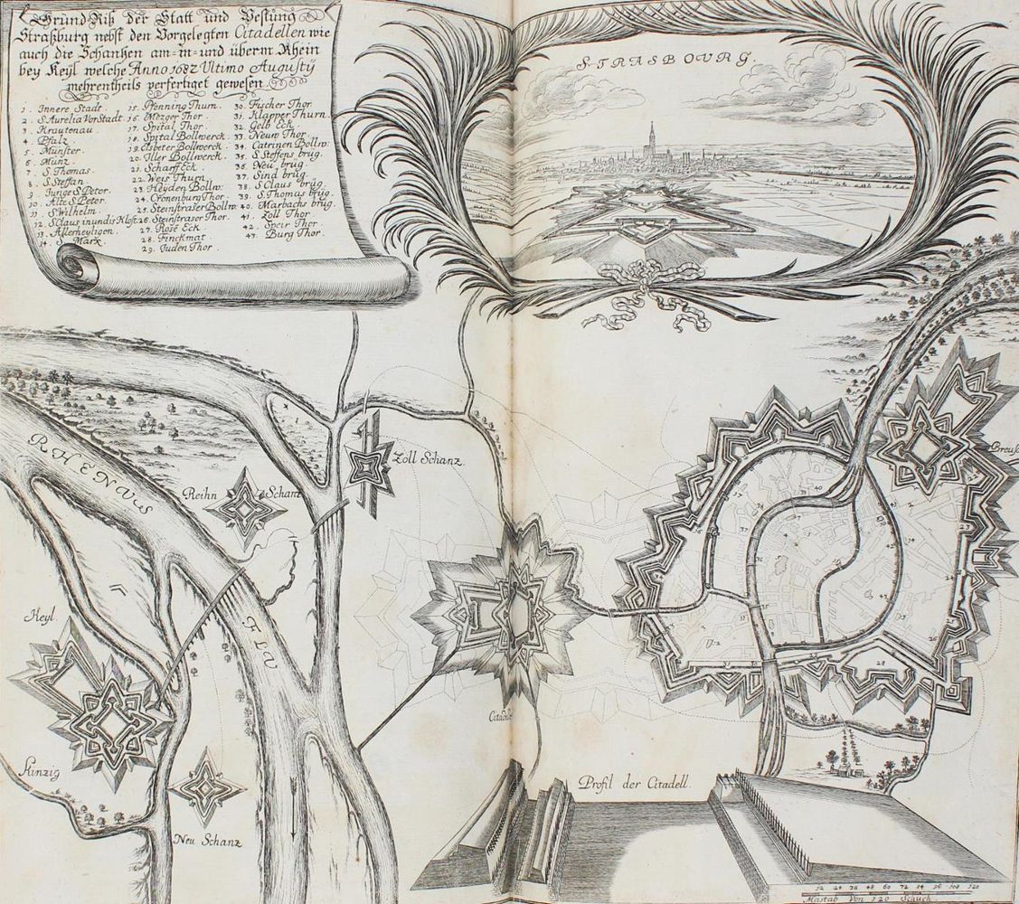 Große Abbildung Nr.5: 124-248 Merian,M.: (Merian, z012)