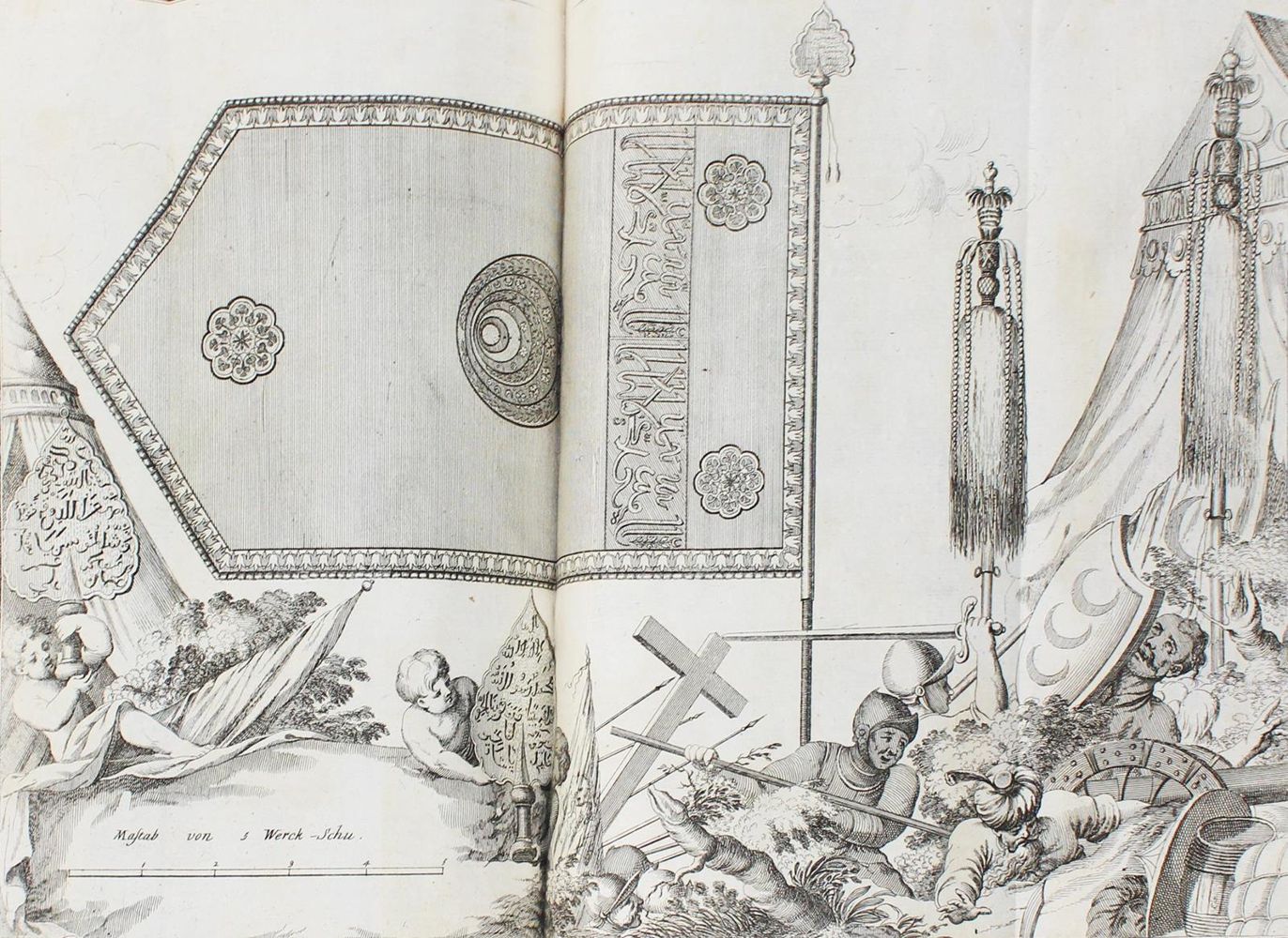 Große Abbildung Nr.6: 124-248 Merian,M.: (Merian, z012)