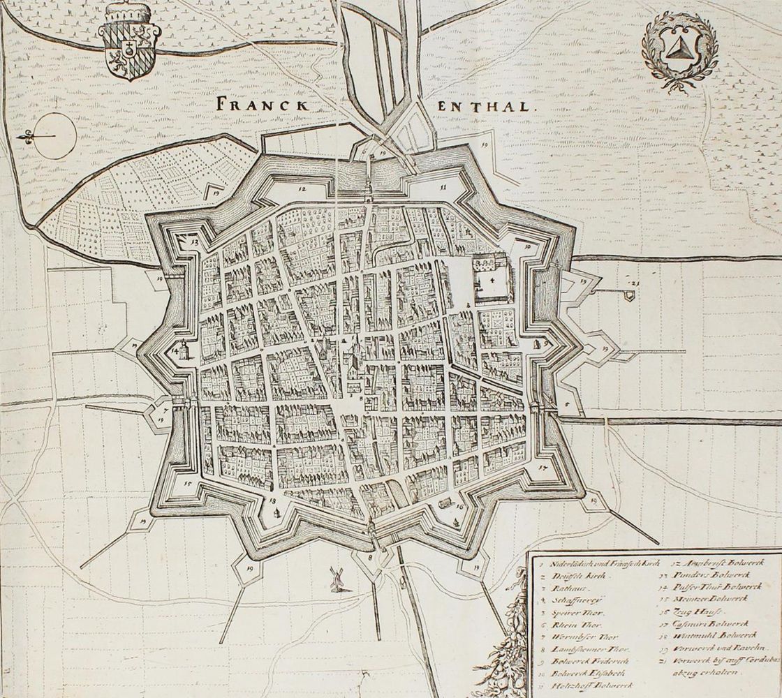 Große Abbildung Nr.5: 124-249 Merian,M.: (Merian, z013)