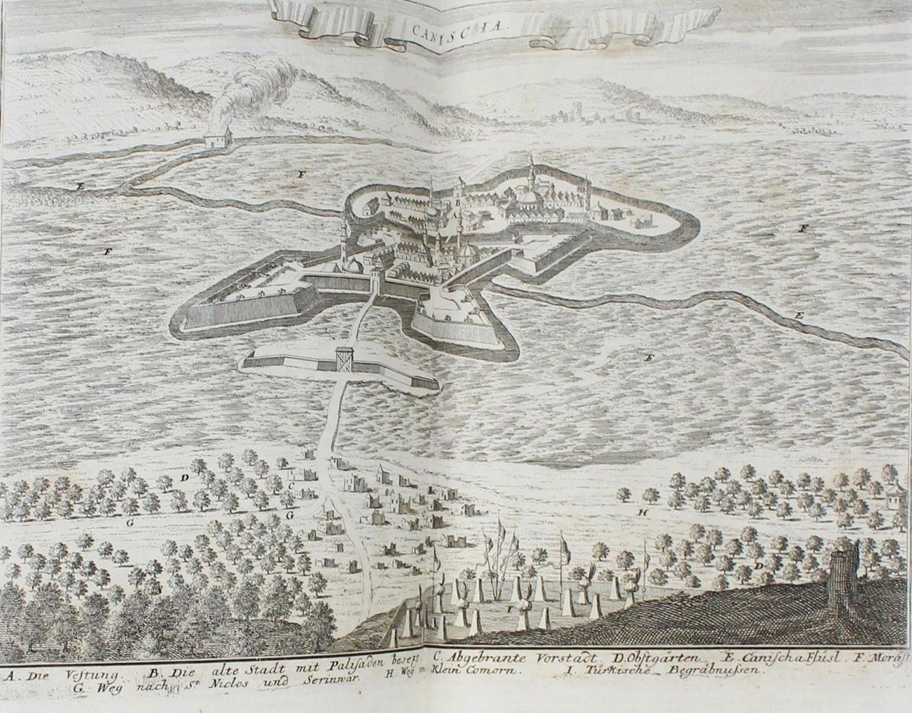 Große Abbildung Nr.6: 124-249 Merian,M.: (Merian, z013)