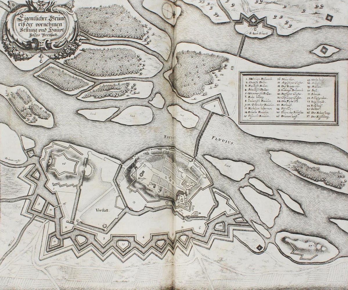 Große Abbildung Nr.6: 124-250 Merian,M.: (Merian, z015)