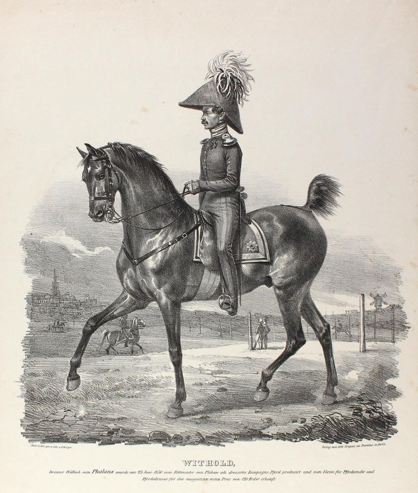 Große Abbildung Nr.1: 124-2518 Portrait.: (Varia, Militaria)