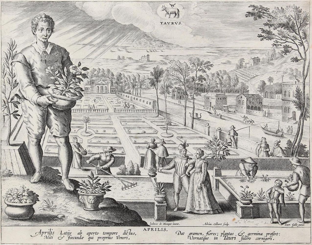 Große Abbildung Nr.1: 124-3048 Collaert, Adriaen: (Künstlergraphik)